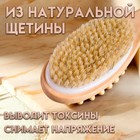 Щётка массажная для тела из натуральной щетины, с ручкой, гладкая - Фото 3