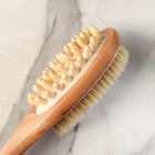 Щётка массажная для тела из натуральной щетины, с ручкой, гладкая - Фото 9