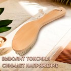 Щётка массажная для тела ONLITOP, из натуральной щетины, с ручкой, гладкая - Фото 3