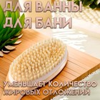 Щётка массажная для тела ONLITOP, из натуральной щетины, с ручкой, гладкая - Фото 2