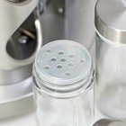 Набор для специй на подставке «Профи», 19×20 см, 12 шт., стекло, серебристый - Фото 3