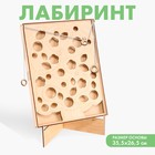 Лабиринт «Шариковая игра» - Фото 1