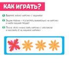 Развивающий набор «Логические ряды, найди лишнее», с прозрачными карточками, уровень 1, по методике Монтессори - Фото 2