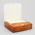 Коробка подарочная, упаковка, «Особый подарок», 20 х18 х 5 см, БЕЗ ЛЕНТЫ - Фото 4