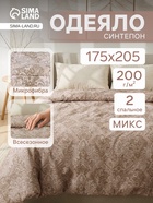 Одеяло 2-спальное «Адель эконом», размер 172×205 см, синтепон, МИКС - Фото 1