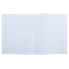 Тетрадь 24 листа в линейку "Зелёная обложка", Арх ЦБК - Фото 2