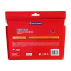 Фломастеры 24 Centropen, 7790 «Пингвины» пластиковый конверт, линия 1.0 мм - Фото 4