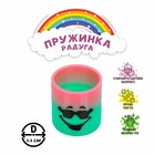 Пружинка - радуга «Мордочка», d=3.3 см, МИКС - Фото 1