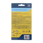 Лампа автомобильная Clearlight, R=5W BA15S, 24 В, набор 2 шт. - Фото 3