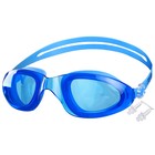Очки для плавания ONLYTOP, беруши, цвета МИКС - фото 8364765