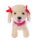 Уценка Интерактивная собака «Любимый щенок», ходит, лает, поёт песенку, виляет хвостом - Фото 3