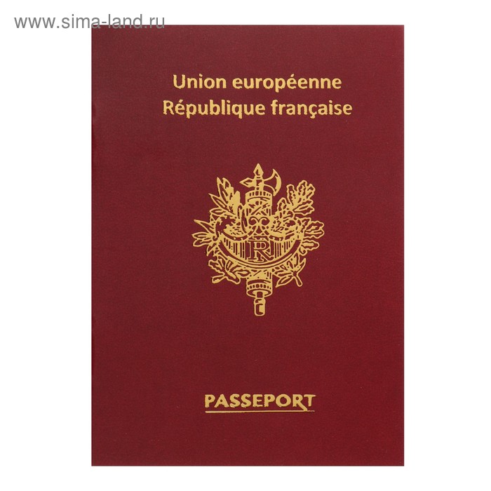 Записная книжка А6, 16 листов «Паспорт. Франция», обложка мелованный картон, матовая ламинация, 3D-фольга, блок 80 г/м² - Фото 1