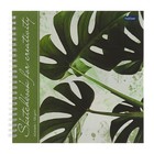 Тетрадь-скетчбук 210 x 210 мм, 60 листов на гребне "Тропические листья", твёрдая обложка, блок 120 г/м², с пошаговыми эскизами - фото 21007619