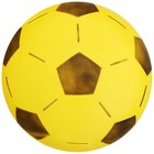 Мяч детский ZABIAKA «Футбол», d=20 см, 50 г, цвет МИКС - фото 3455248