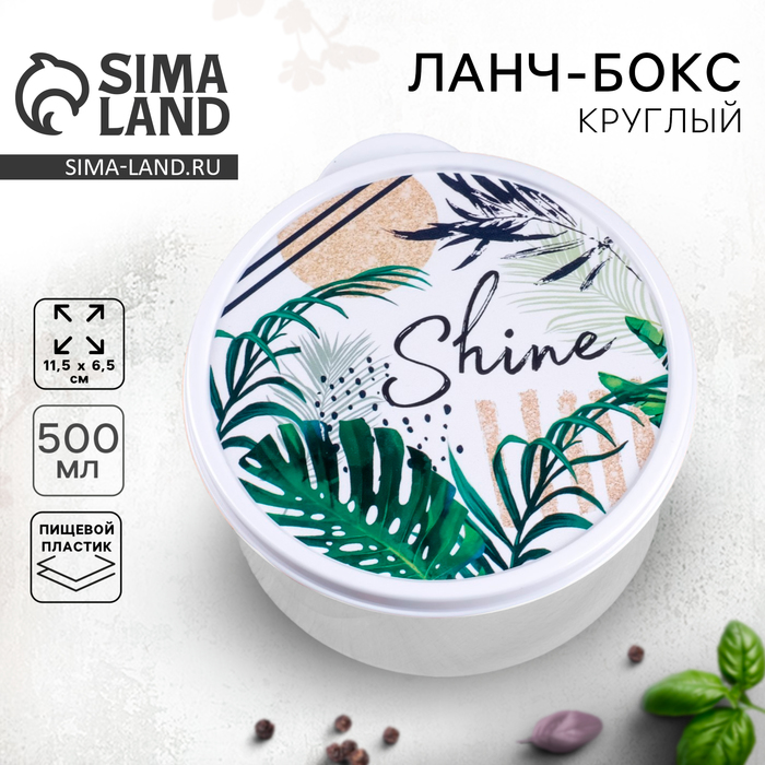 Ланч-бокс «Shine», 500 мл