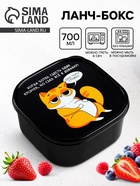 Ланч - бокс квадратный «Кот», 700 мл - Фото 1