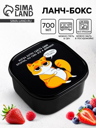 Ланч - бокс квадратный «Кот», 700 мл