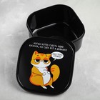 Ланч - бокс квадратный «Кот», 700 мл - Фото 2