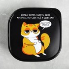 Ланч - бокс квадратный «Кот», 700 мл - Фото 3