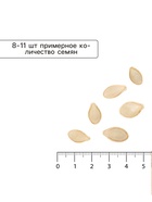 Семена Кабачок «Негритёнок», раннеспелый, 1.5 г, «Артикул»  (артикул 4693242)  большой выбор товаров оптом и в розницу по низким ценам с доставкой