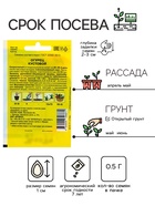 Семена Огурец "Кустовой" скороспелый, 0,5 г - Фото 2