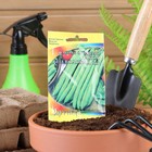 Семена Фасоль овощная "Сакса без волокна 615", раннеспелая, 5 г - Фото 3