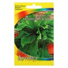 Семена Щавель "Крупнолистный", раннеспелый, 0,5 г - Фото 1
