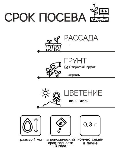 Семена цветов Маттиола двурогая "Ночная Фиалка", О, 0,3 г