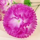 Цветы искусственные "Гвоздика трио" 11*58 см, бело-сиреневый - фото 809151085