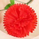 Цветы искусственные «Гвоздика трио», 11?58 см, красные (комплект 10 шт) - фото 25403680 Цветы искусственные «Гвоздика трио», 11?58 см, красные (комплект 10 шт) - фото 25403680