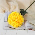 Цветы искусственные "Герань королевская" 16х60 см, жёлтый - Фото 1