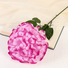 Цветы искусственные "Герань королевская" 16х60 см, малиновый