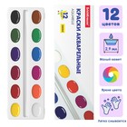 Акварель медовая ErichKrause Basic, 12 цветов, без кисти, пластик, картонный пенал - Фото 6