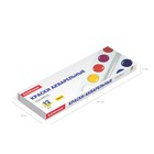 Акварель медовая ErichKrause Basic, 12 цветов, без кисти, пластик, картонный пенал - Фото 9