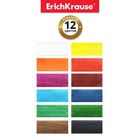 Акварель 12 цветов ErichKrause Basic, медовая, пластик, картонный пенал, без кисти - фото 7298511