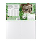 Тетрадь 12 листов в клетку ErichKrause "Baby Jungle", обложка мелованный картон, блок офсет 100% белизна, микс (1 вид в спайке) (комплект 10 шт) - фото 21007904