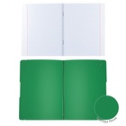 Тетрадь А4, 48 листов в клетку ErichKrause FolderBook, пластиковая обложка, тиснение фольгой, зелёная 4732265