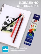 Карандаши цветные «Луч», 6 цветов, заточенные, шестигранные - Фото 2