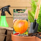 Семена Томат "Дынюшка", F1,индетерминантный,высокорослый, 10 шт - Фото 1