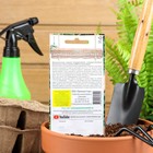 Семена Томат "Дынюшка", F1,индетерминантный,высокорослый, 10 шт - Фото 2