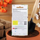 Семена цветов Виолла букетная крупноцветковая "Мулен Руж" F1 - Фото 4