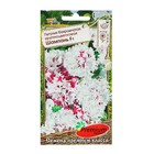 Семена цветов Петуния бахромчатая, крупноцветковая "Шампань" F1, 8 шт, - Фото 1