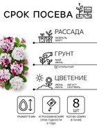 Семена цветов Петуния бахромчатая, крупноцветковая «Шампань» F1, 7 шт. - Фото 2