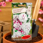 Семена цветов Петуния бахромчатая, крупноцветковая "Шампань" F1, 8 шт, - Фото 3