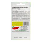 Семена цветов Петуния крупноцветковая «Пиковая дама», F1, Premium seeds - Фото 4