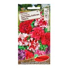 Семена цветов Петуния махровая "Дуо Танец бабочек", смесь - Фото 1