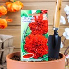 Семена цветов Петуния махровая, крупноцветковая "Ред Файер" F1, 10 шт. - фото 318266615