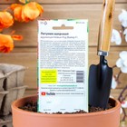 Семена цветов Петуния махровая, крупноцветковая "Ред Файер" F1, 8 шт. - Фото 2