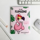 Блокнот раскраска Flamazing, А6, 12 листов - Фото 1