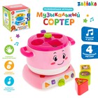 Развивающая игрушка «Музыкальный сортер», свет, звук, МИКС - Фото 1